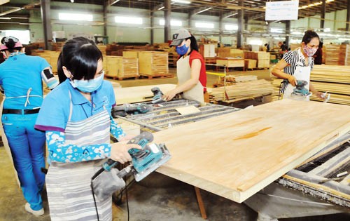 A wooden product manufacturing company in HCMC (Photo: SGGP)